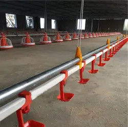 Nipple Drinking System Broilers Poultry Drinking Line 50mm-250mm Tube