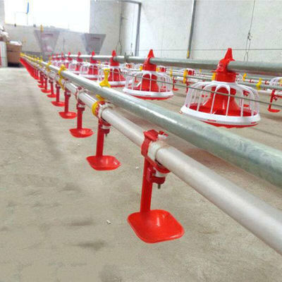 New Poultry Farm Drinking System Caged Chicken House Watering Systems
