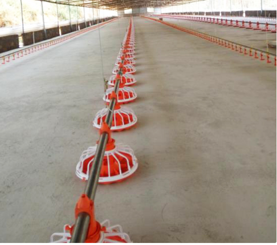 फार्म के लिए पूरी तरह से ऑटो चिकन फ़ीड ऑगर सिस्टम पोल्ट्री ऑगर फीडर 0