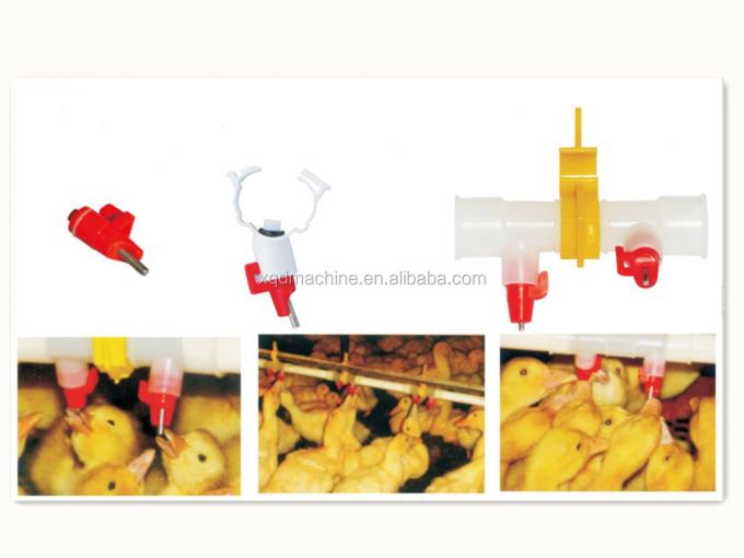 Geese ducks drinking water watering system drinkers Nipple Waterer for bird poultry breeding farming