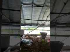 अनुकूलित स्वचालित चिकन फार्म फीडर उपकरण वोल्टेज समायोज्य