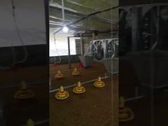 अनुकूलित स्वचालित चिकन फार्म फीडर उपकरण वोल्टेज समायोज्य