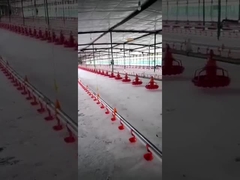 पोल्ट्री ड्रिंकर पोल्ट्री उपकरण के लिए प्लासन बाल्टी स्वचालित बेल ड्रिंकर