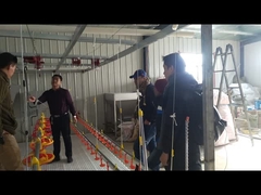 पक्षी मुर्गीपालन खेती के लिए गीज़ बत्तखों का पीने का पानी, सिंचाई प्रणाली, पीने वाला निपल वॉटरर